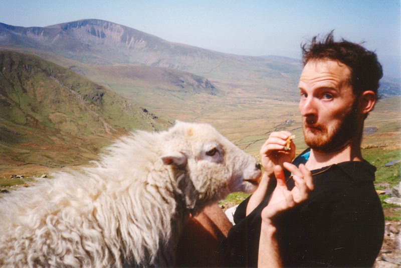 Dave and the sheep on Snowdon