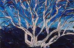 Birch