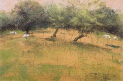 Orchard, Herefordshire